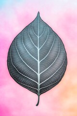 Isolated grey leaf with intricate veins on colorful background.