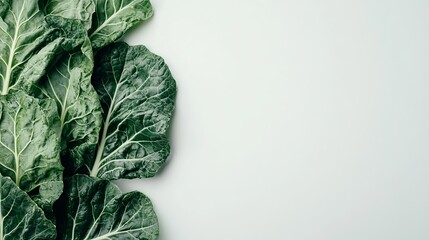 Wall Mural - Fresh collard greens display rich green leaves, perfect for nutritious meals or salads, showcasing their natural beauty in a simple arrangement