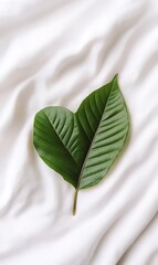 Two green leaves form a heart shape on white fabric.