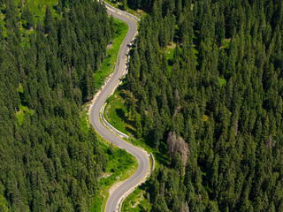 Fototapete - Winding road trough dense pine forest. Aerial drone view, top down