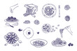 © chekiwart - Set of different Italian pasta and pasta making machine. Hand drawn illustration of Italian cuisine elements