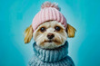 © stanhert - A small dog wearing a pink hat and a blue sweater