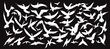 © Maxim Borbut - Isolated black silhouette of a flock of birds backlit on a transparent background as a PNG file