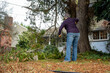 © knelson20 - Middle aged woman with loppers, long handle clippers, and leather work gloves cleaning up after the storm, large branch broken on pine tree in a windstorm, residential yard weather damage