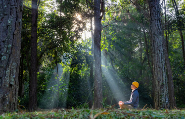 Man relaxingly practicing meditation in the pine forest to attain happiness from inner peace wisdom with beam of sun light for healthy mind and soul for healthy mind and soul