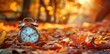 © Irfanan - Time Flies By in Autumn Leaves