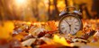 © Irfanan - Autumn Clock: Time Flies in the Fall