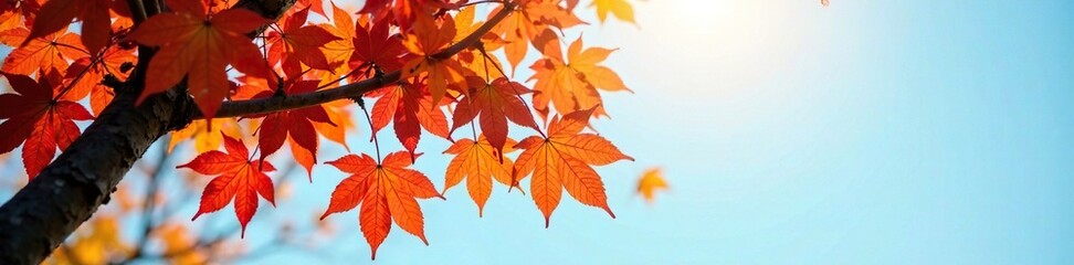 Wall Mural - A plane tree branch covered in bright colored autumn leaves against the blue morning sky, light, fall