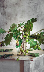 Wall Mural - Oak branch with leaves and acorns close-up.