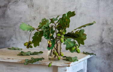 Wall Mural - Oak branch with leaves and acorns close-up.