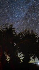 Wall Mural - starry night sky with milky way and palm trees. vertical design in 9:16 ratio. smartphone and social