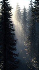 Wall Mural - A serene forest scene with sunlight filtering through tall trees, creating a mystical atmosphere.