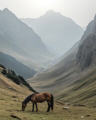 Wall Mural - A horse grazes in a serene valley surrounded by majestic mountains and misty landscapes.