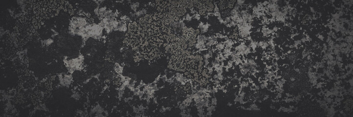 Wall Mural - Natural texture of a stone covered with lichen. Lichen patterns on a rock surface. Natural background. Closeup top view. Faded dark wide panoramic background for design.