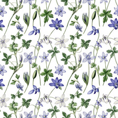 Wall Mural - Blue and purple wildflowers on a white background