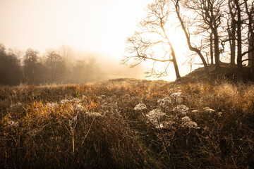 Wall Mural - Stunning dramatic atmospheric sunrise landscape image of foggy morning at Elter Water around River Brathay in Lake District