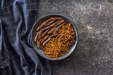 Wall Mural - Dried salted insect. Mealworms, grasshoppers and crickets on plate on black table. Top view.