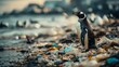 © 99 RIC - Penguin on Polluted Shoreline: A Striking Image of Environmental Pollution and Climate Crisis