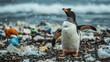 © 99 RIC - Penguin on Polluted Shoreline: A Striking Image of Environmental Pollution and Climate Crisis