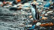 © 99 RIC - Penguin on Polluted Shoreline: A Striking Image of Environmental Pollution and Climate Crisis