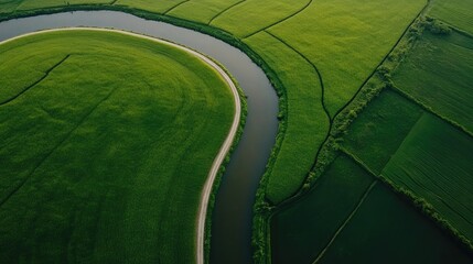 Poster - Aerial view of meandering river through vibrant green fields with open space for text overlay in serene natural landscape