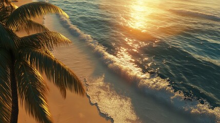 Aufkleber - Aerial view of serene tropical beach at sunset with gentle waves and lush palm trees reflecting golden sunlight on sandy shore
