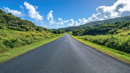 Poster - Aerial perspective of a deserted blacktop road surrounded by vibrant green grassland under a clear blue sky and fluffy white clouds