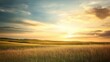 © tonstock - Tranquil landscape at sunset, showcasing golden grass fields under a colorful sky, perfect for nature themes.