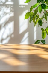 Wall Mural - A serene tabletop with a plant and soft shadows on a light surface.