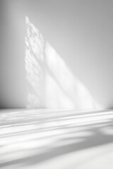 Wall Mural - a minimalist interior scene showcasing soft light and gentle shadows on a blank wall, creating a ser