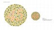 © A.S.Khan - Color vision test or Color Blindness Test Plate 9 and other Plate 13, Normal view 45, Red_Green deficiency: Most people don't see anything or see something wrong.
