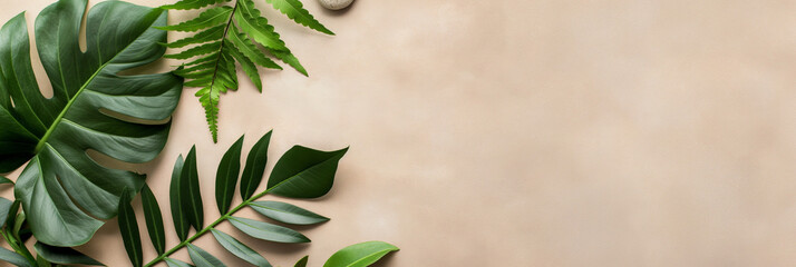 Various lush green leaves have been artistically arranged on a soft beige background, highlighting their diverse shapes and textures, ideal for botanical design.