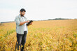 © Serhii - indian farmer at farm field. soybean field