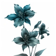 Wall Mural - Teal blue lily flowers blooming on a white background, perfect for nature and floral themed projects