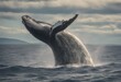 © sandra - humpback fluke atlantic new raises newfoundland rich england s waters.png whale