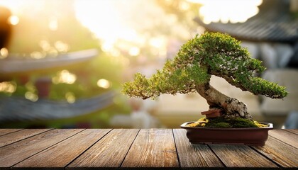 bonsai tree on wooden desk against inexperienced heritage