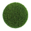 © Alloca Design Studio - green ball of fresh grass forming a circle PNG image, PNG file, Generative art.