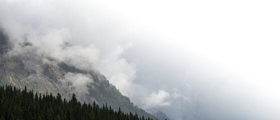 Wall Mural - cloudy mountain scene with green evergreen trees and sky fading to transparent