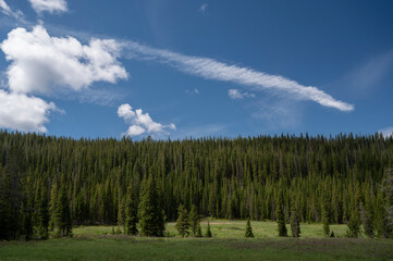 Columbine Lake Trail in Colorado.