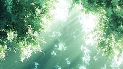 Wall Mural - Sunlight filtering through lush green canopy.