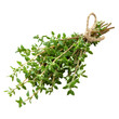 © Iftikhar alam - Fresh thyme sprigs isolated on a transparent background, showcasing vibrant green leaves and earthy stems, Fresh thyme isolated on transparent background