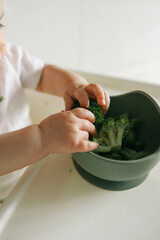 Wall Mural - Broccoli in a plate, first complementary food using the blw method