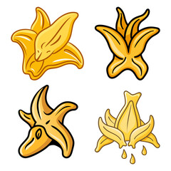 fresh golden water caltrop high-quality vector bundle set ideal for menus, food and fruit concepts illustration.