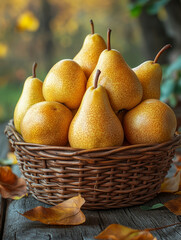 Wall Mural - Basket of ripe yellow pears on a rustic wooden table.