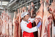 © JackF - Focused skilled butcher shop worker checking raw meat in cold storage room, measuring temperature of dressed pork carcasses hanging on hook frame..