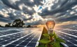 © Pixel Diversity - Solar panels with lightbulb on plant clean energy innovative solar panel innovation power electricity energy technology panel renewable