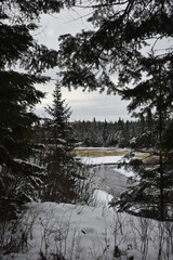 Parc Appalaches 24 Décembre Au 2 Janvier 2025 