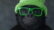 © Chanagun - A playful gorilla wearing a bright green beanie and funky glasses. This adorable photo captures the charm and personality of wildlife in a humorous light.