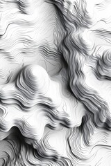 Leinwandbilder - Abstract grayscale topographic map texture.