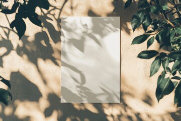 Wall Mural - Blank paper mockup with leaf shadows on beige wall.